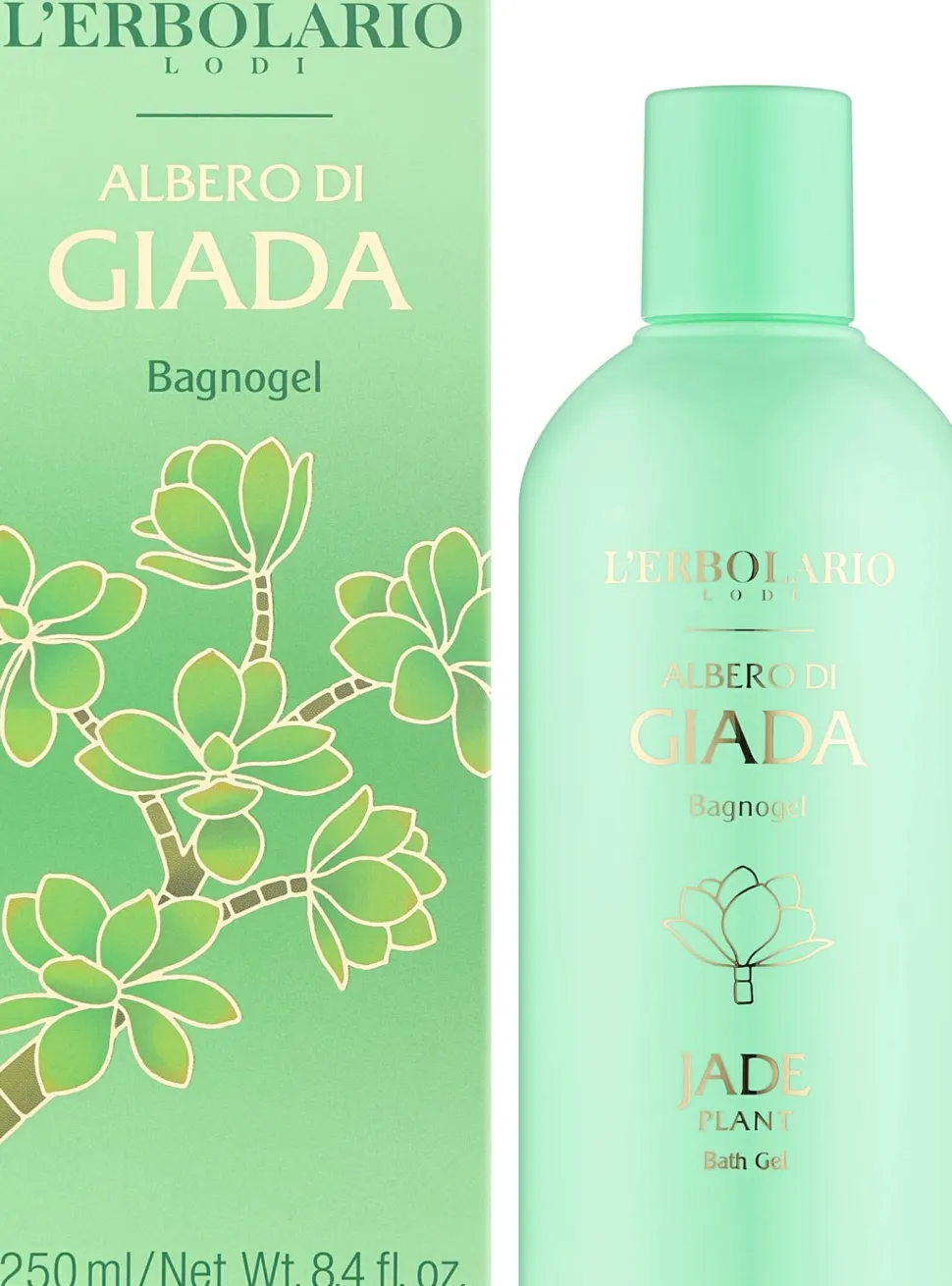 L'Erbolario Albero Di Giada Jade Plant
